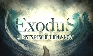 EXODUS cover